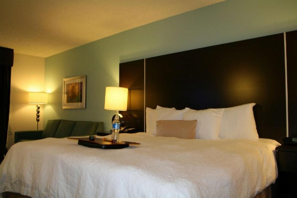 Hampton Inn By Hilton Shreveport Airport, La image 22