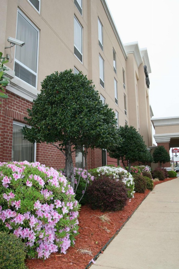 Hampton Inn By Hilton Shreveport Airport, La image 3