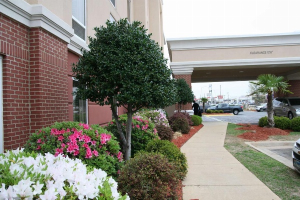Hampton Inn By Hilton Shreveport Airport, La image 4